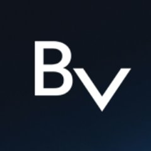 BLOCKv ico